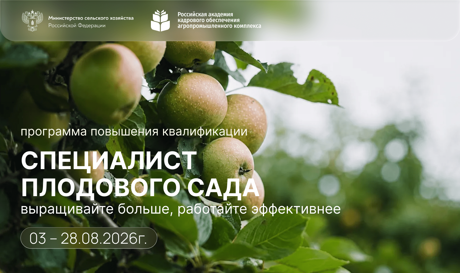 Программа повышения квалификации «Специалист плодового сада». 03 – 28.08.2026г.