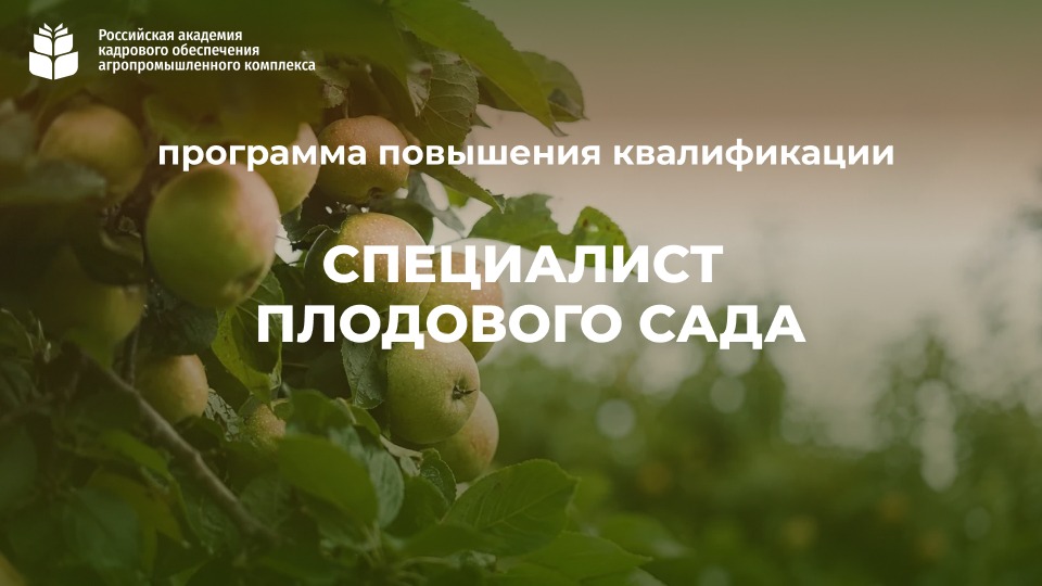 Специалист плодового сада (72 часа) <br> 03 – 24.08.2026г.
