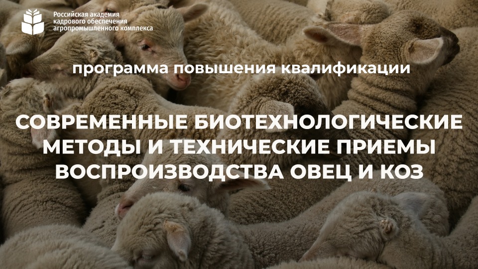 Современные биотехнологические методы и технические приемы воспроизводства овец и коз (72 часа) <br> 07.09 – 02.10.2026