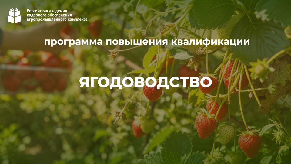 Ягодоводство (72 часа) <br> 28.09 – 30.10.2026