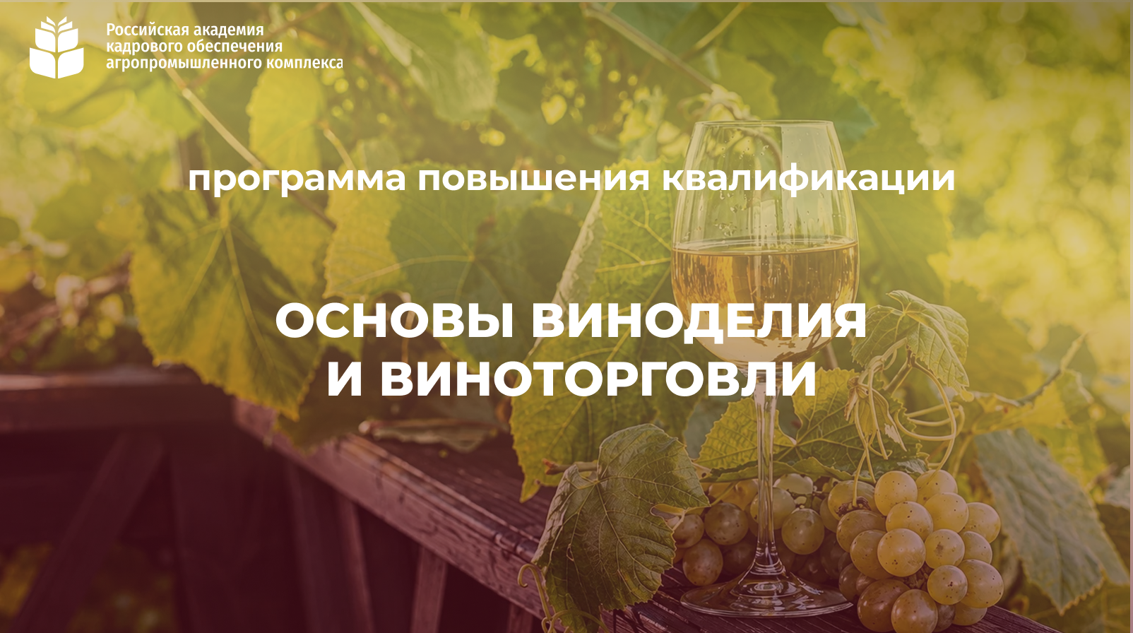 Основы виноделия и виноторговли (72 часа) <br> 05 – 30.10.2026