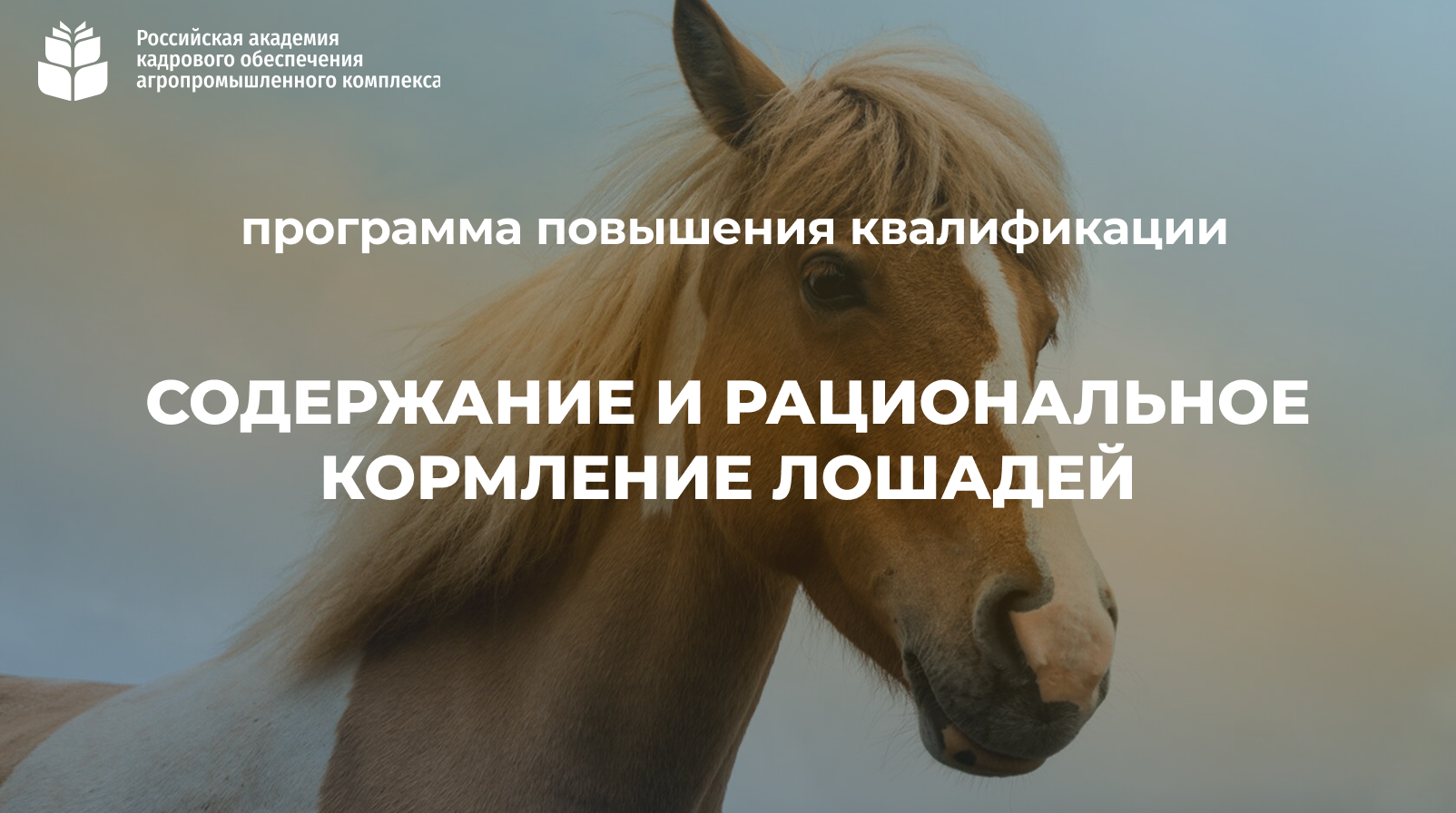 Содержание и рациональное кормление лошадей (72 часа) <br> 02 – 30.11.2026